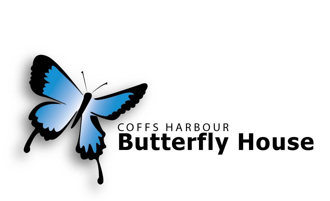 Coffs Harbour Butterfly House To Do Kids